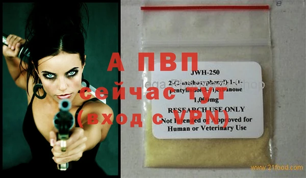 молекула духа Осташков