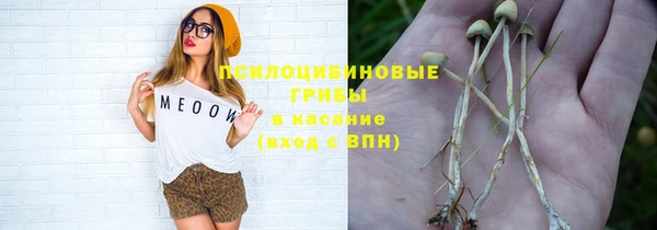PSILOCYBIN Аксай