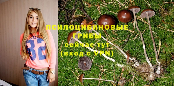 молекула духа Осташков