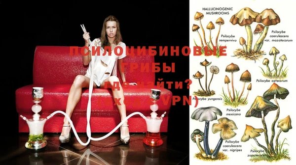 молекула духа Осташков